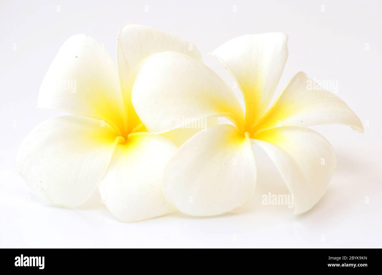 Indian welcome flowers hi-res stock photography and images - Alamy