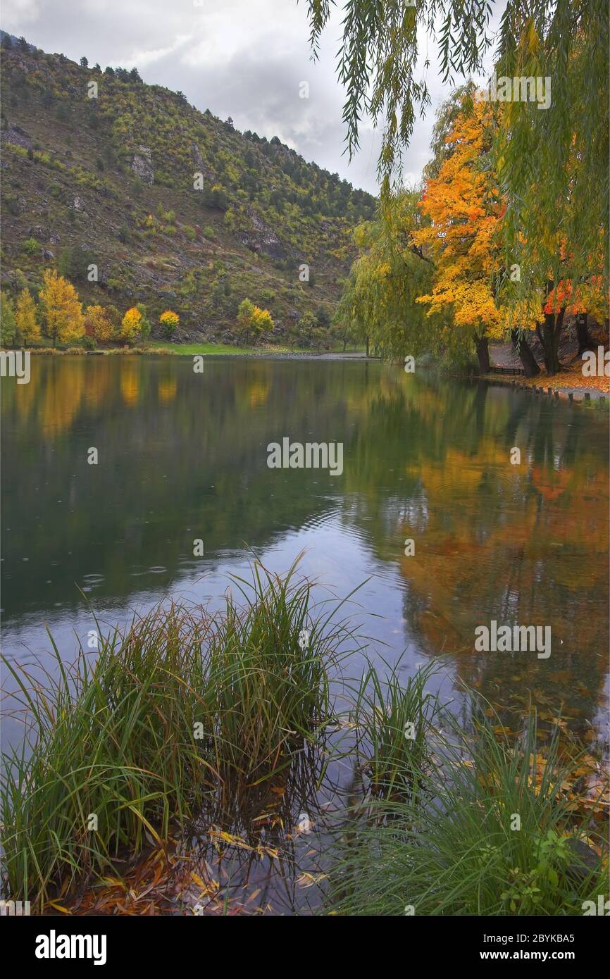 Pretty trees by lake hi-res stock photography and images - Alamy