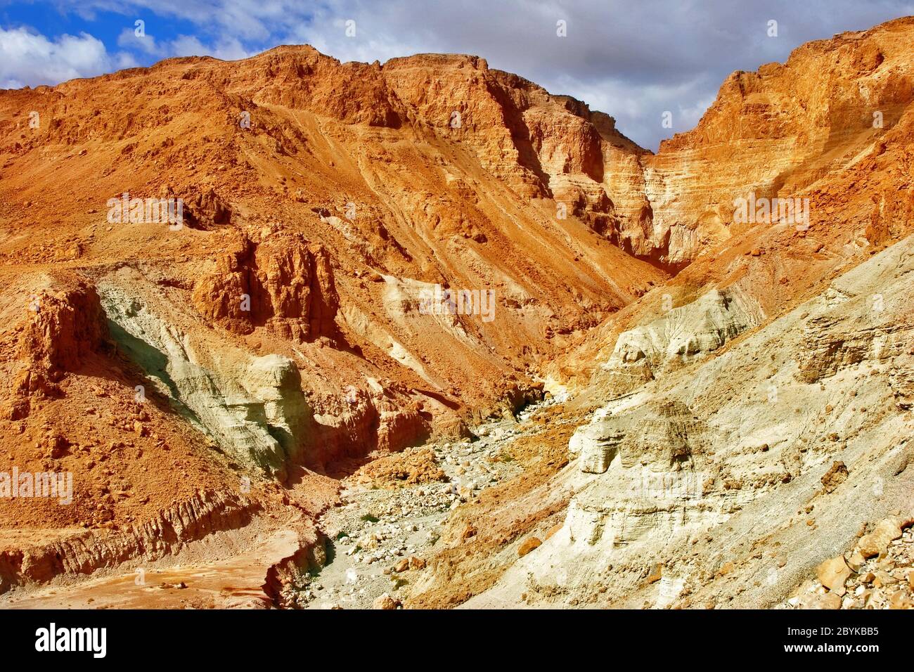 The dried up stream. Stock Photo