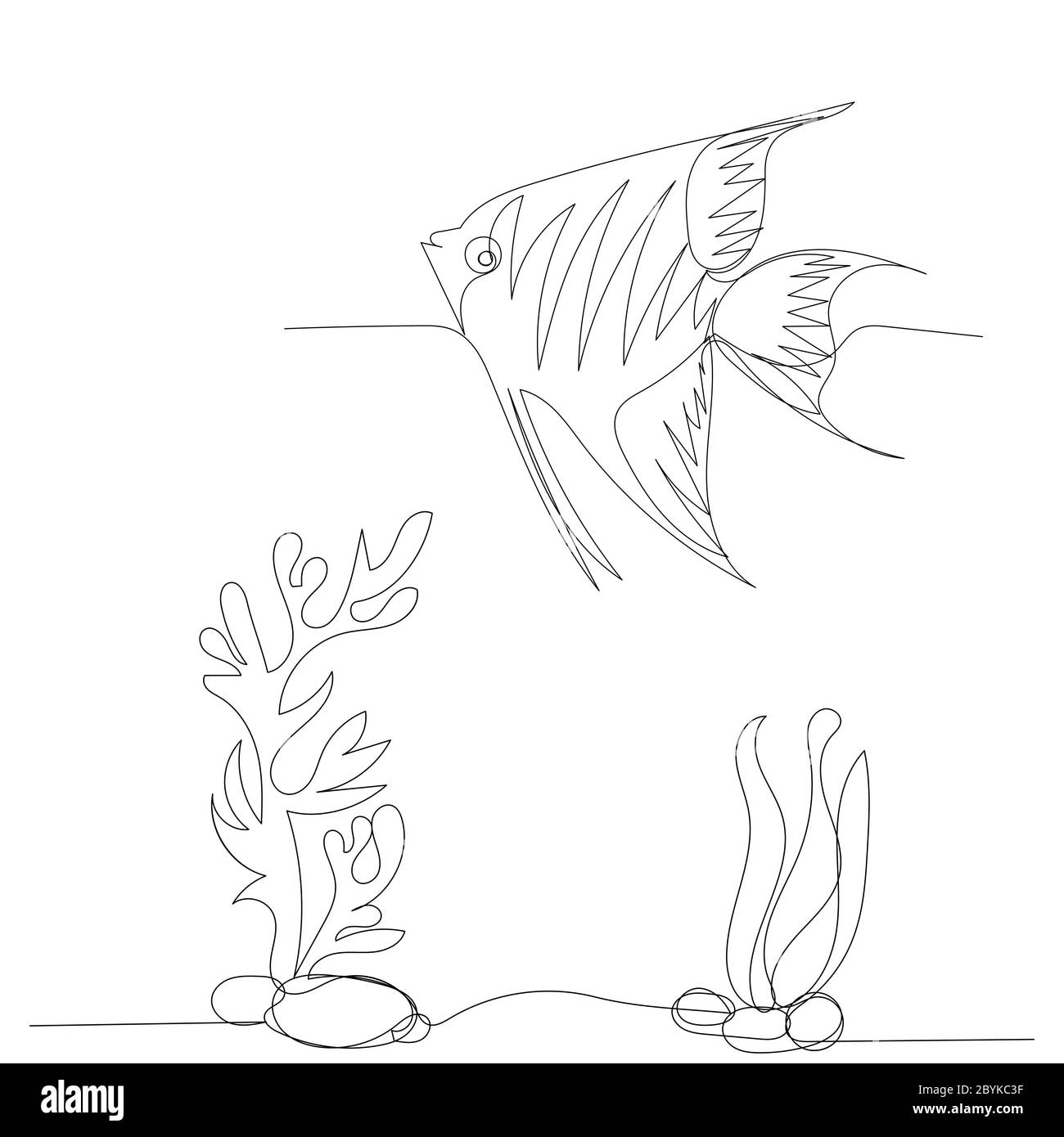 detailed illustration of a fish line art on white Stock Photo - Alamy