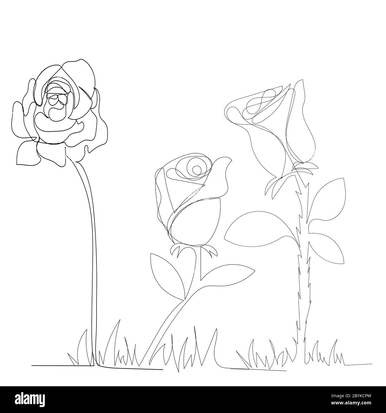 isolated, rose continuous line drawing Stock Vector Image & Art - Alamy