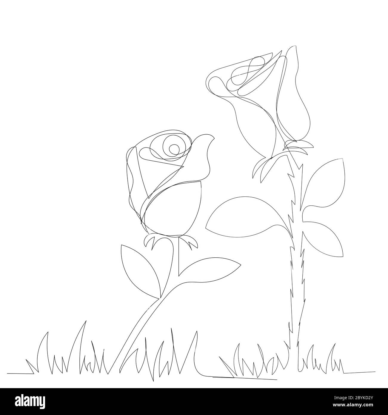vector, isolated, rose continuous line drawing Stock Vector Image & Art ...