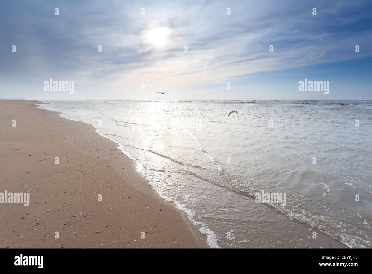 sunshine over sand beach in North sea Stock Photo - Alamy