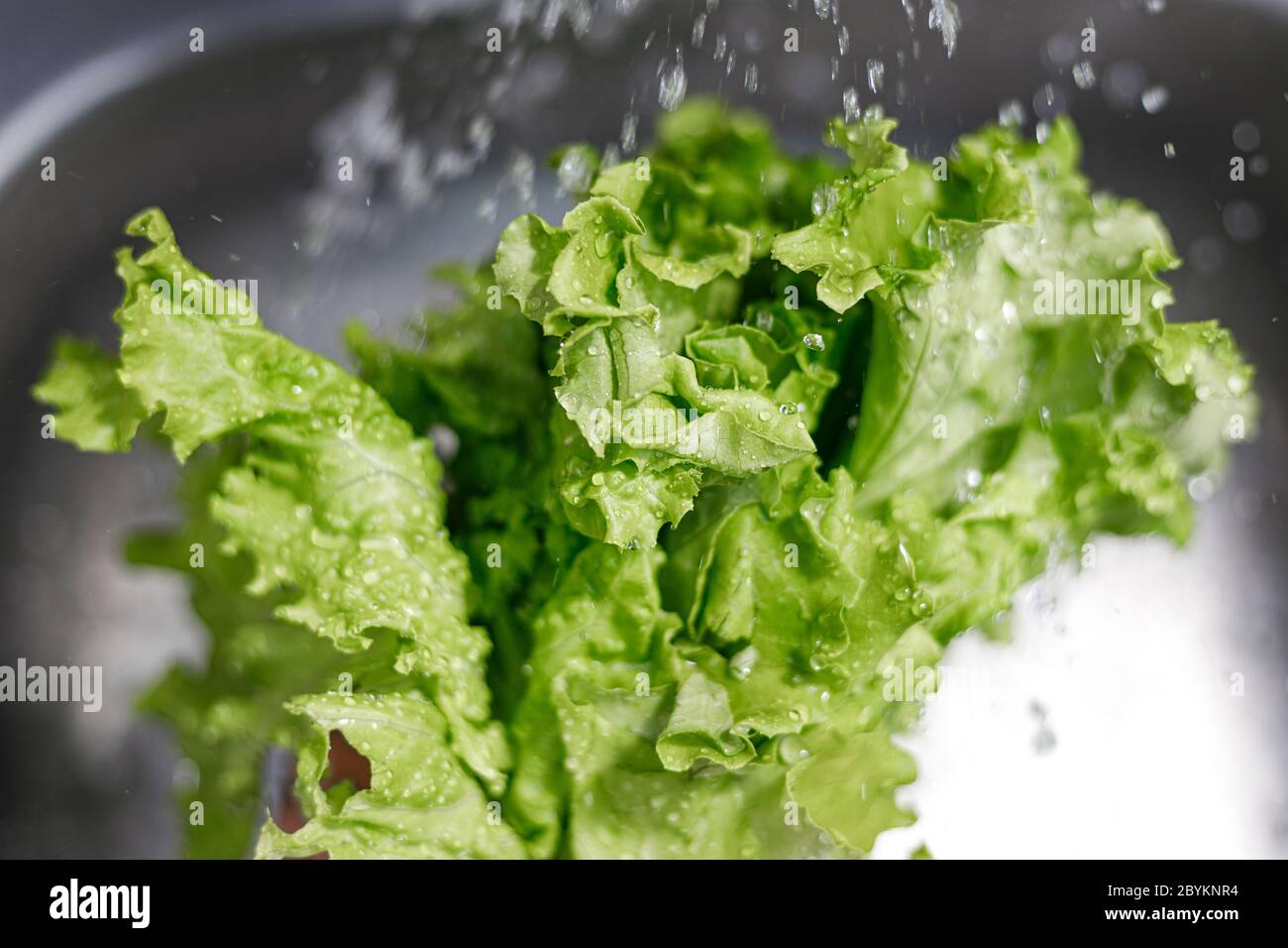 Man's hands washing lettuce leaves. Water flowing on lettuce. Stock Photo