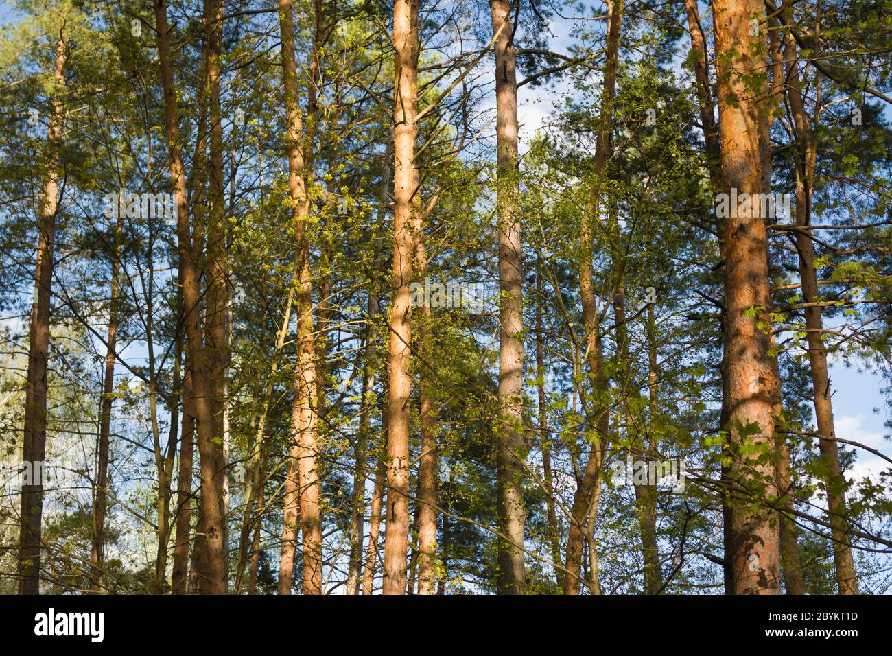 High clouds hi-res stock photography and images - Alamy