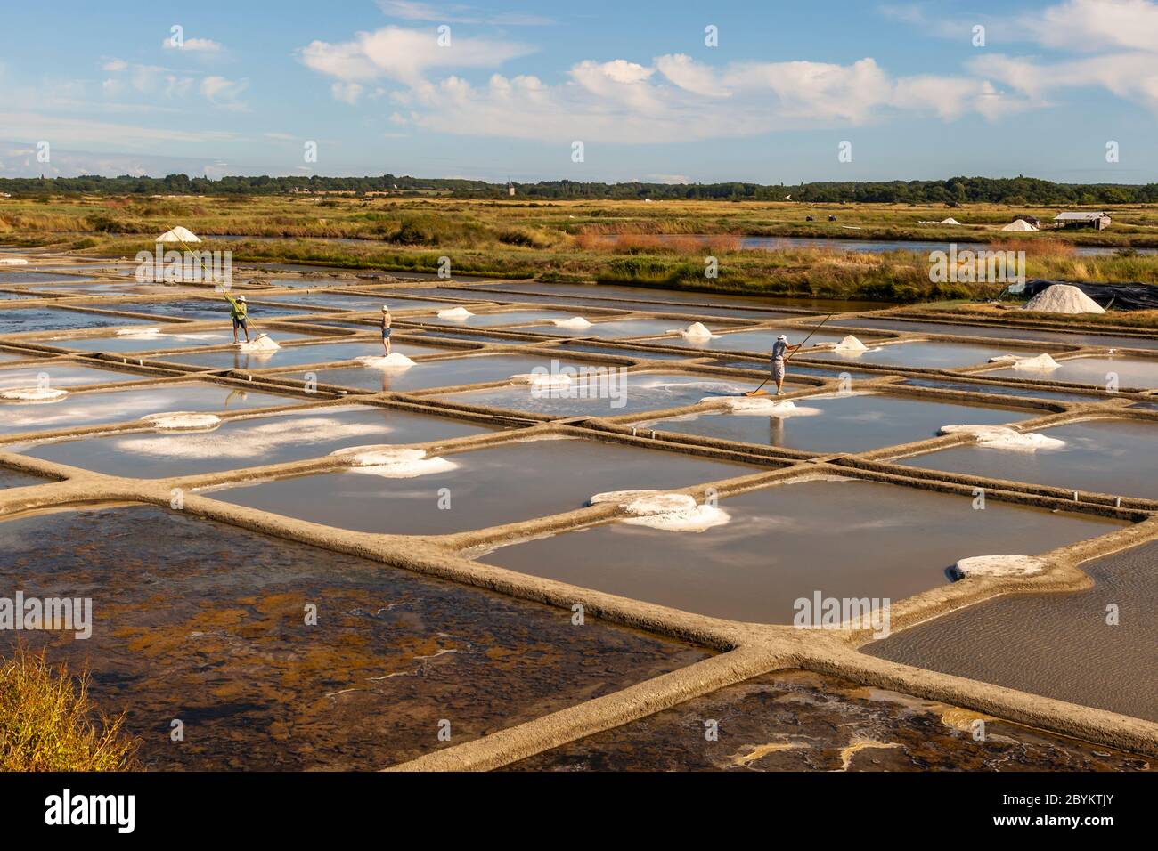 Sea Salt Production in the Guerande near Saint-Nazaire, France Stock Photo