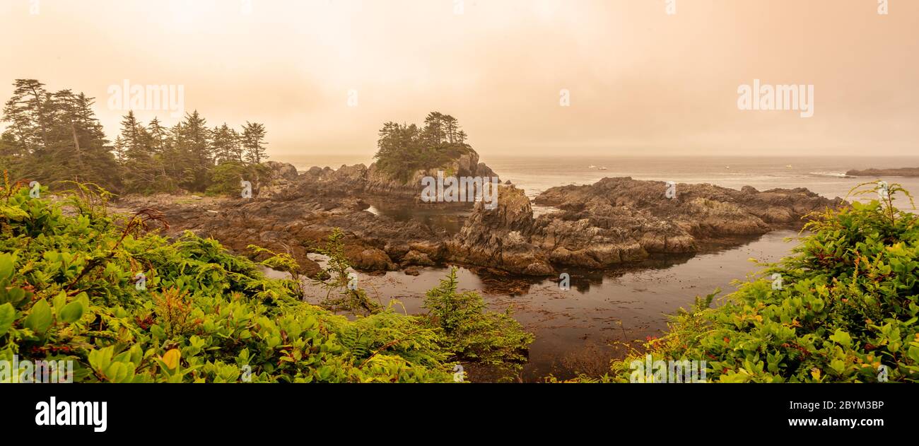 Wild Pacific Trail in Ucluelet, Vancouver Island, British Columbia, Canada Stock Photo