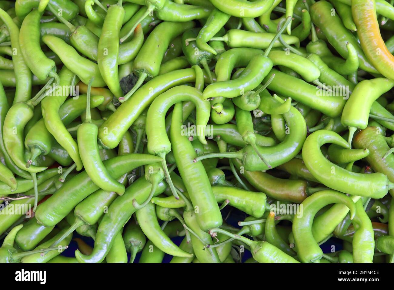 Chilli varieties hires stock photography and images Alamy