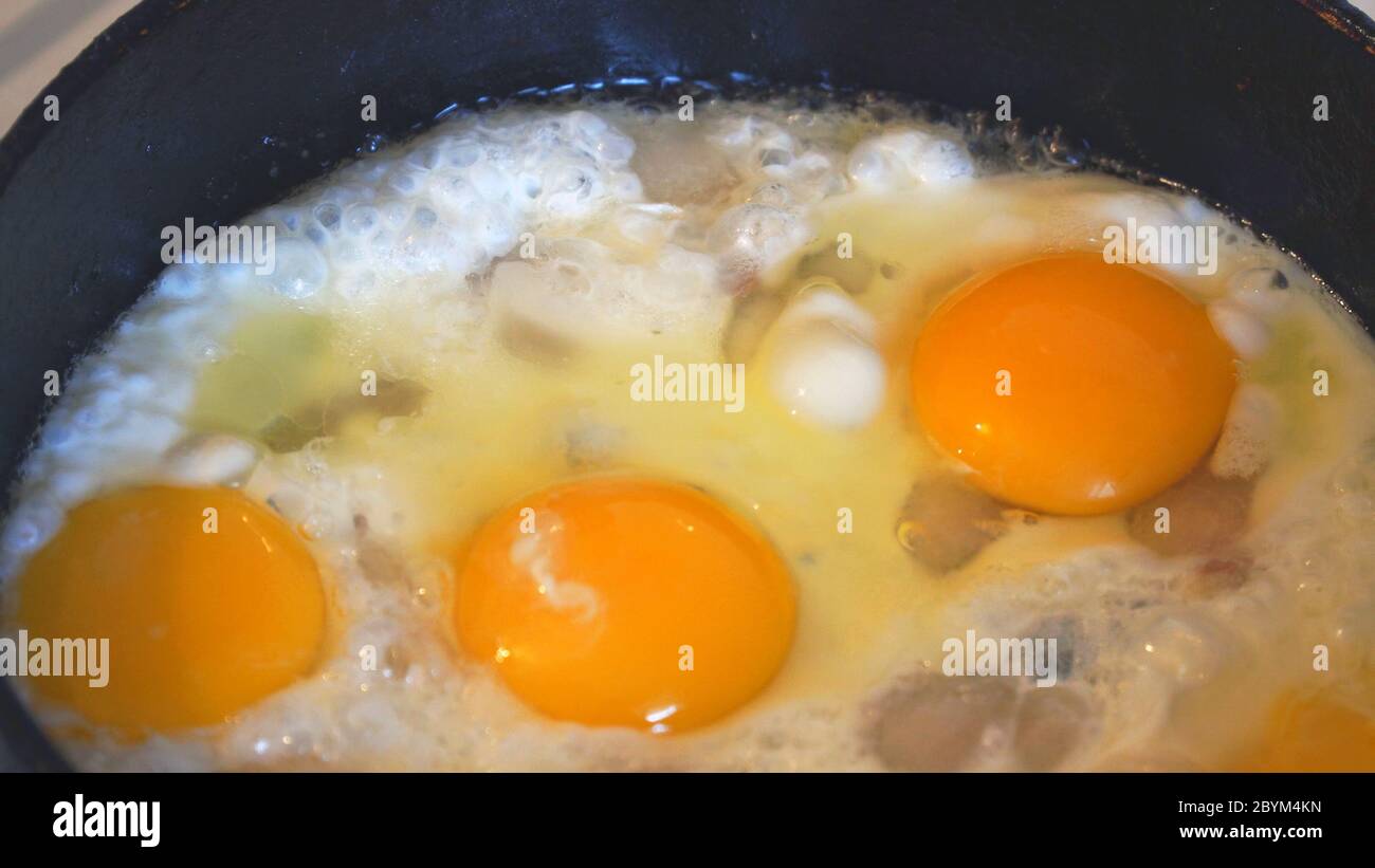 Eggs are fried in a pan. Cooking fried egg Stock Photo