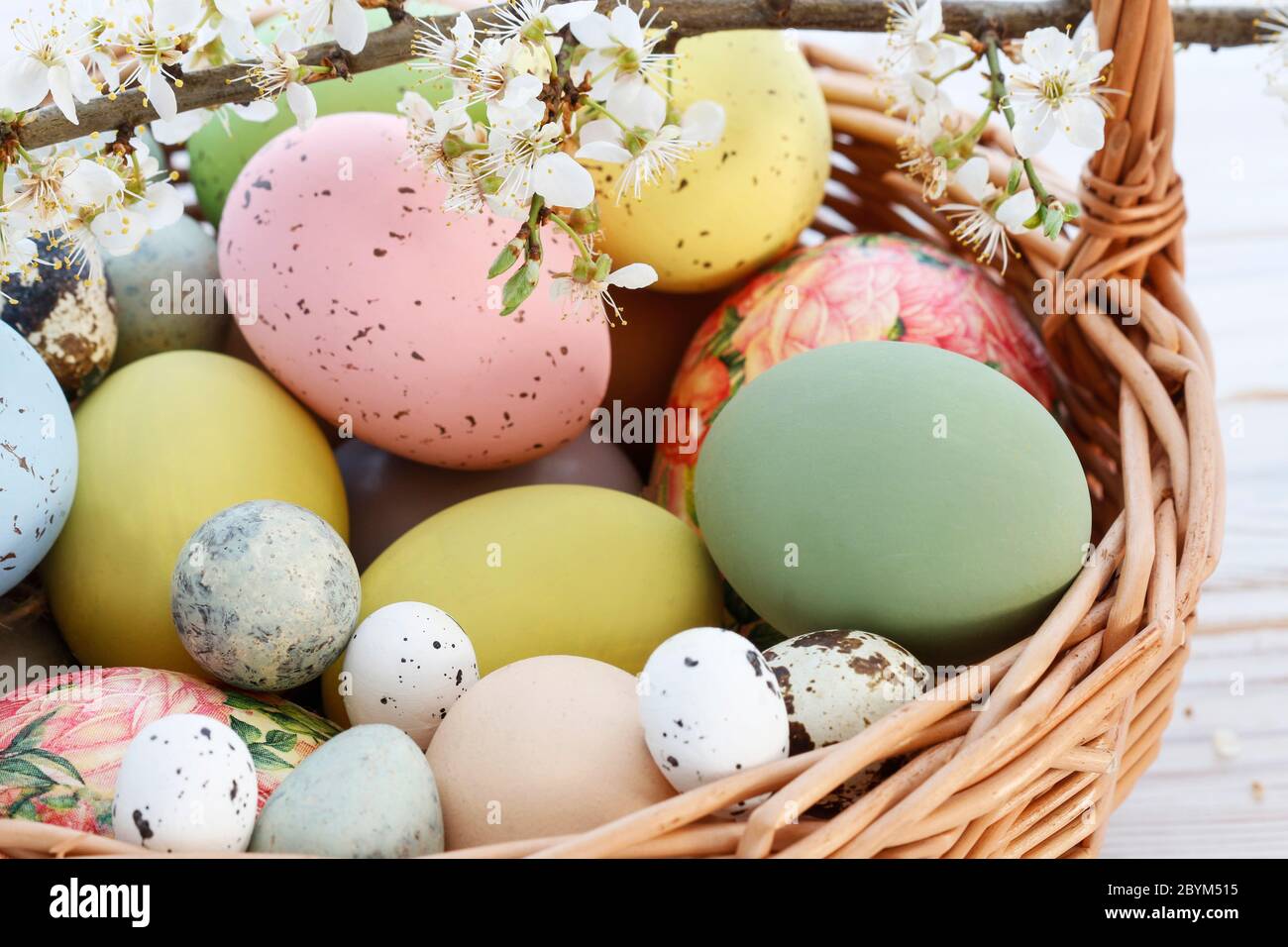 Basket with Easter eggs and cherry blossom branch. Festive decor Stock Photo