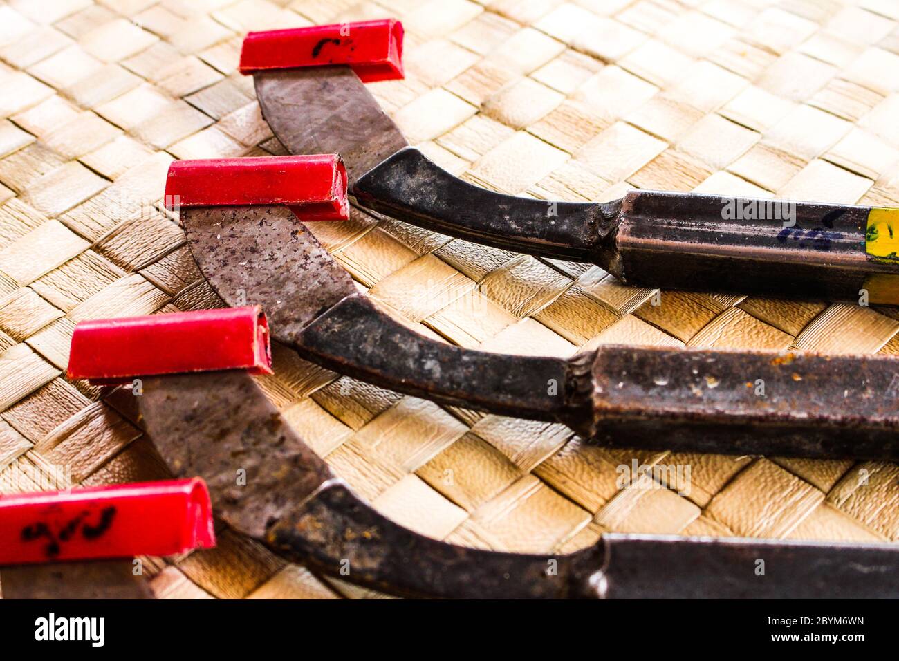 rubber tapping knife, great steel tool very sharp on background Stock