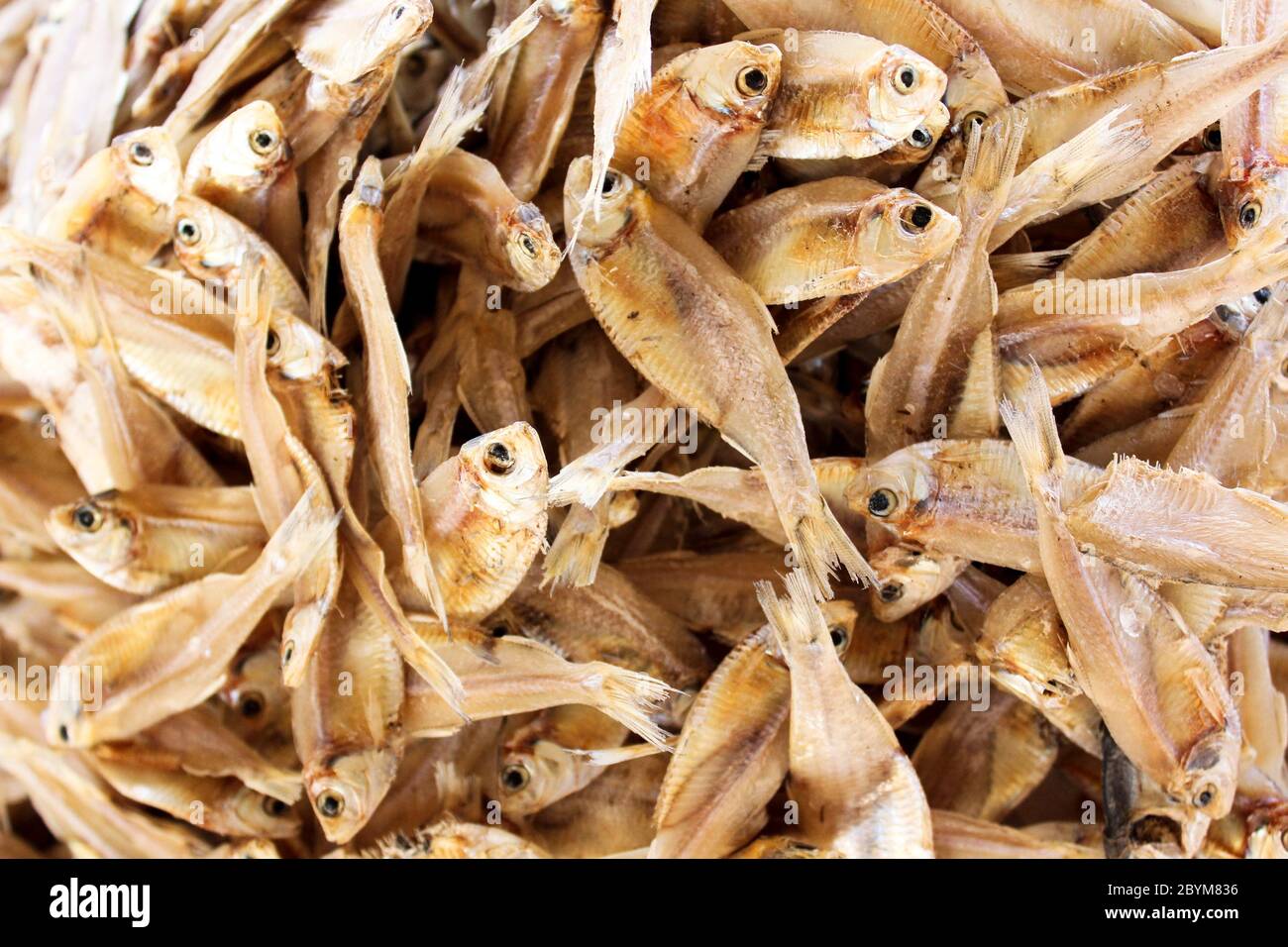 dried small fish in the thai market Stock Photo - Alamy