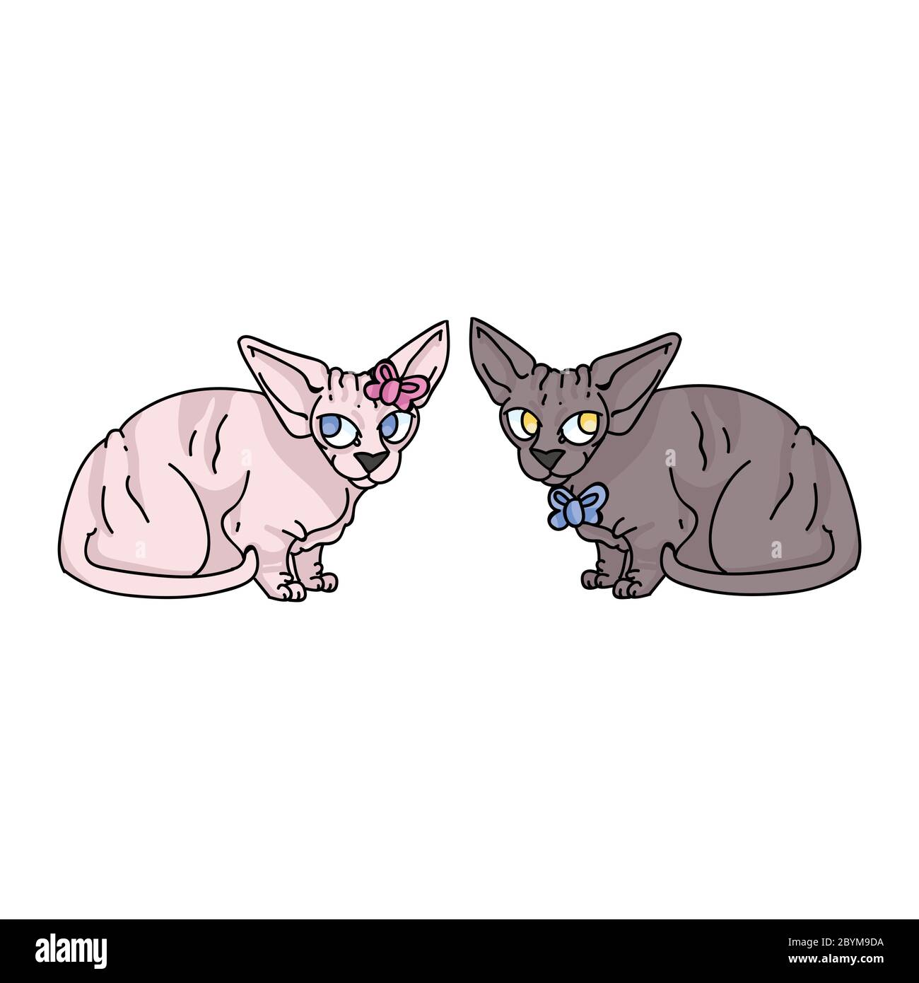 Cute Cartoon Sphynx Kitten Boy And Girl Vector Clipart Pedigree Exotic Kitty Breed For Cat Lovers Purebred Domestic Cat For Pet Parlor Illustration Stock Vector Image Art Alamy