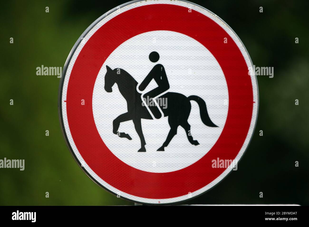 21.07.2017, Rome, , Italy - Notice sign: no riders allowed. 00S170721D031CAROEX.JPG [MODEL RELEASE: NOT APPLICABLE, PROPERTY RELEASE: NO (c) caro imag Stock Photo