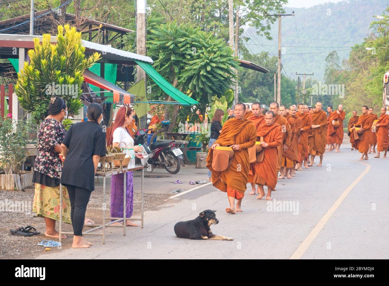 Buddhist monks walking or being transported to local village to collect food donations. Stock Photo