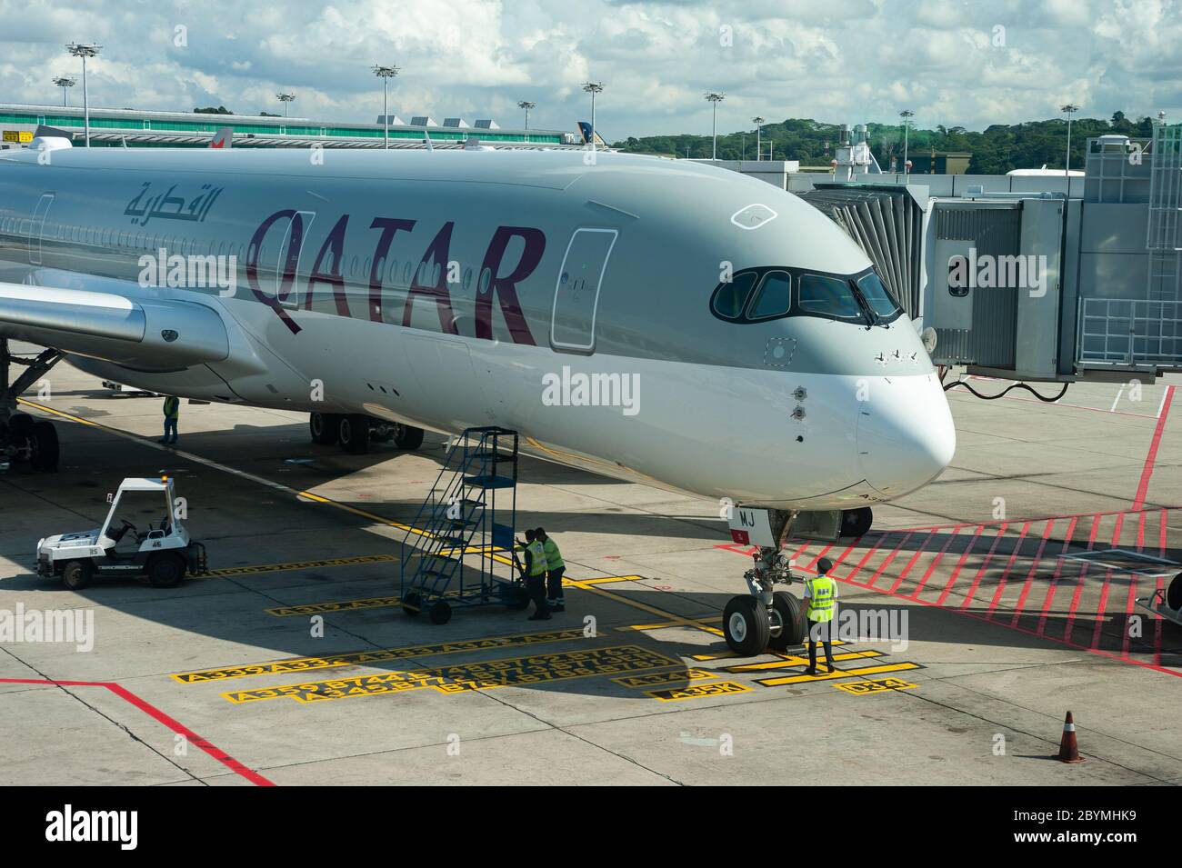 singapore airline one world