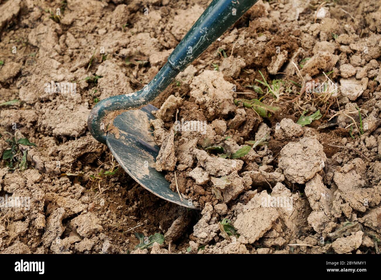 Work with a hoe in the home garden. Spring work Stock Photo