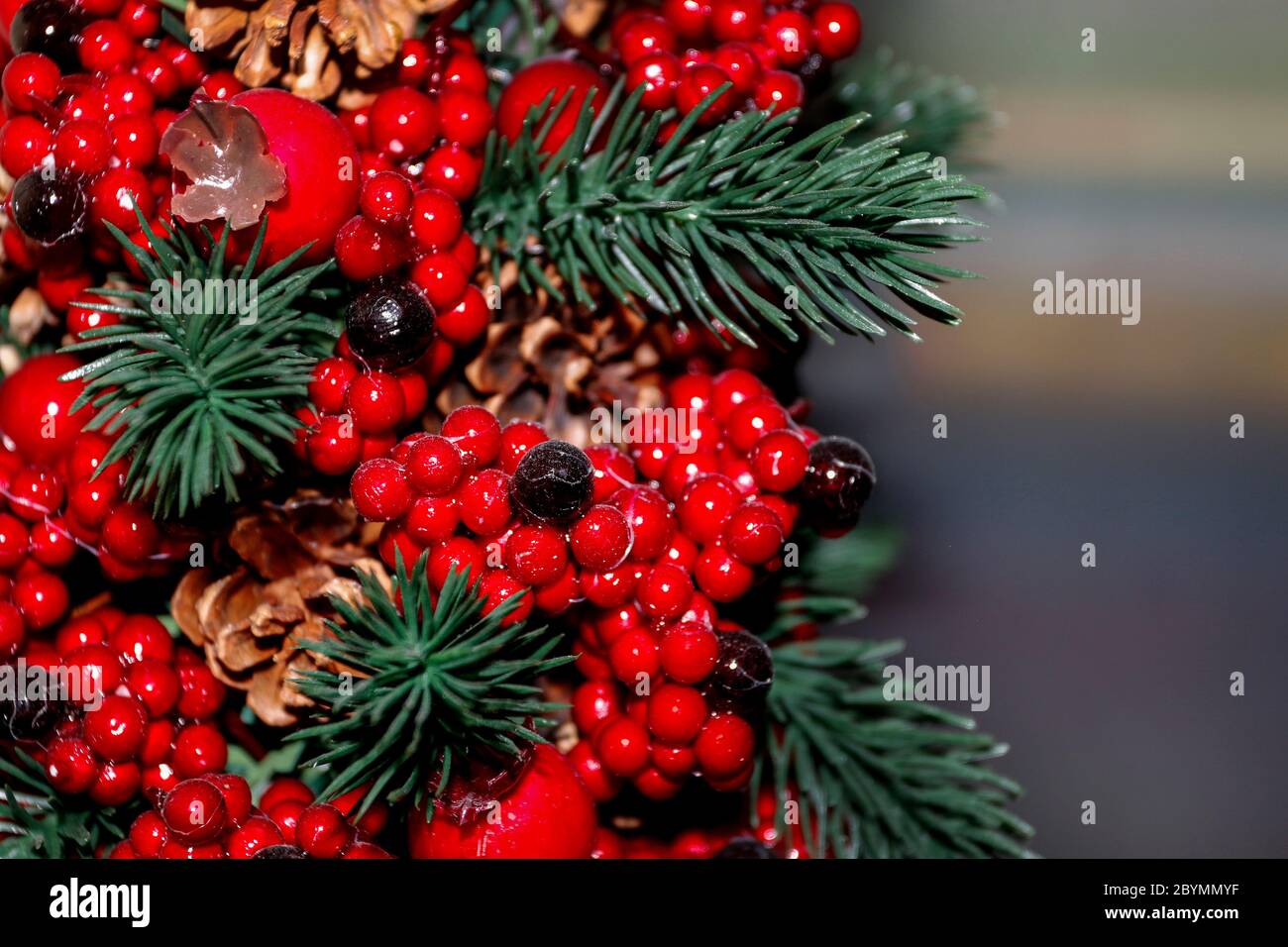 Christmas background with red berries, cones and fir twigs. Graphic resources Stock Photo