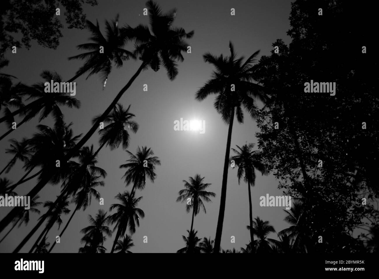 Amazing night view Black and White Stock Photos & Images - Alamy
