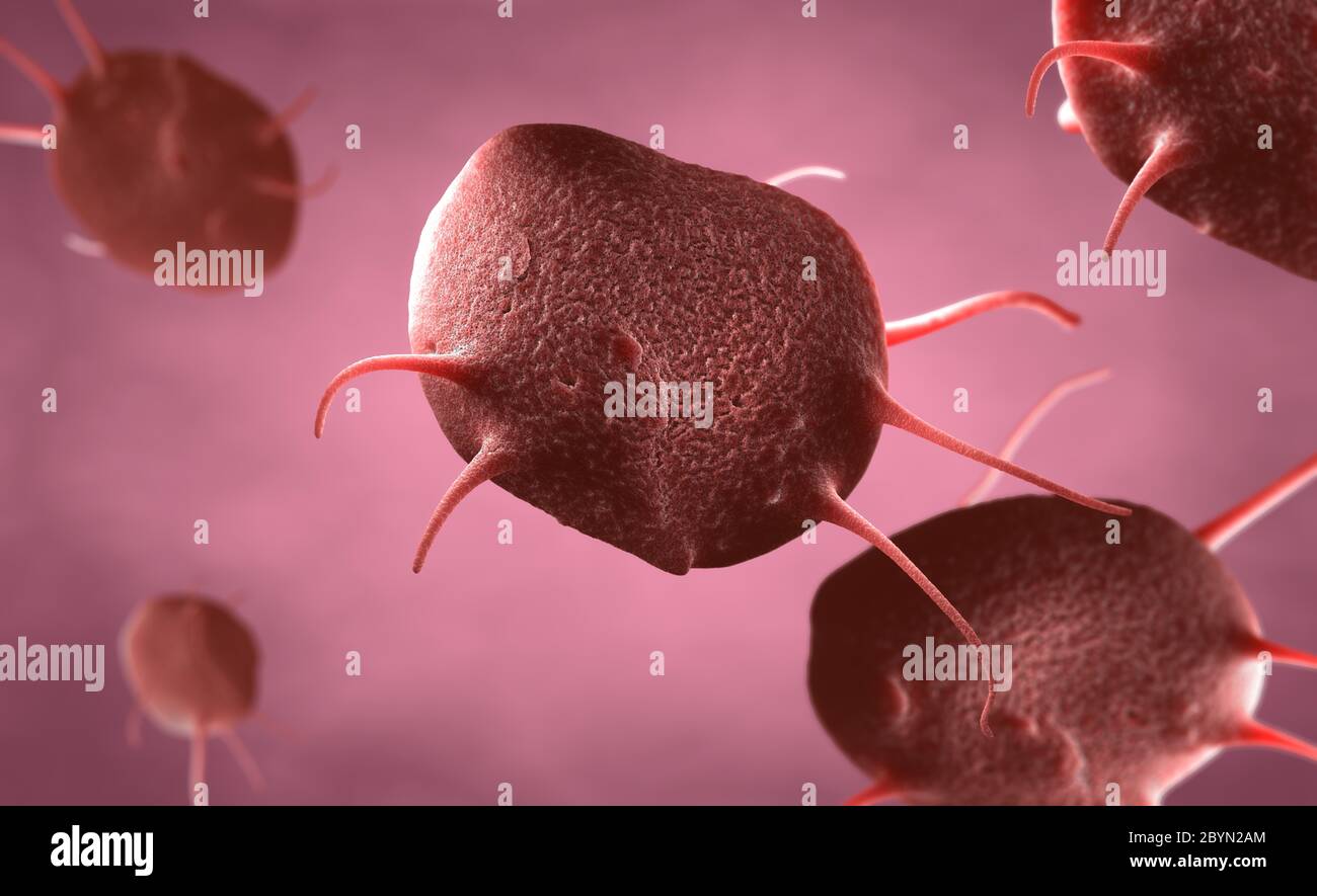 3d illustration of an activated platelets, also called thrombocytes responsible for the healing and closure of wounds Stock Photo