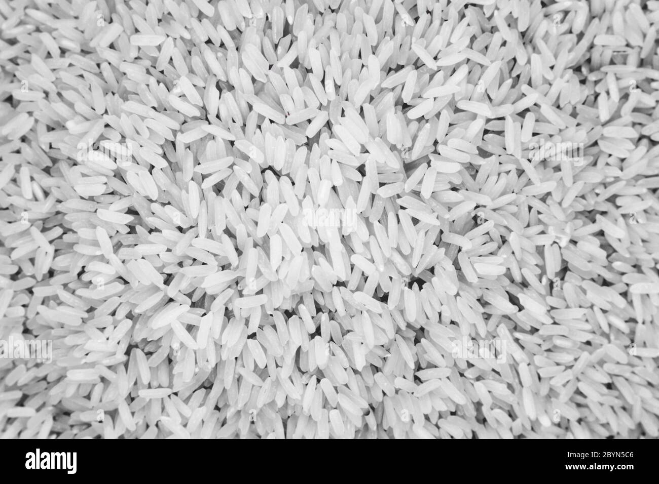 thai raw rice isolated white background Stock Photo - Alamy