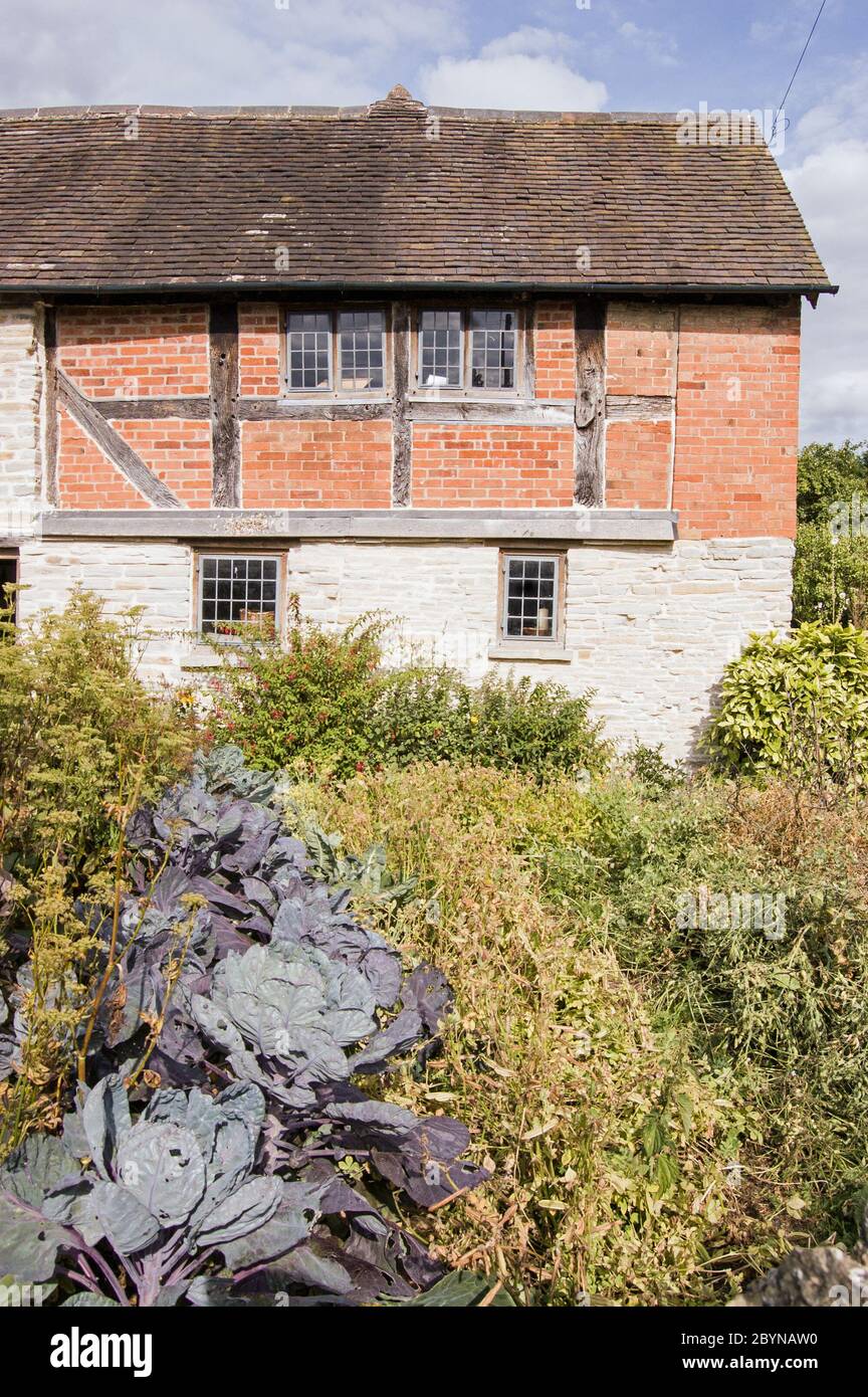Vegetables in the kitchen garden of Mary Arden's Farmhouse, Wilmcote near Stratford Upon Avon, Warwickshire. William Shakespeare visited this medieval Stock Photo