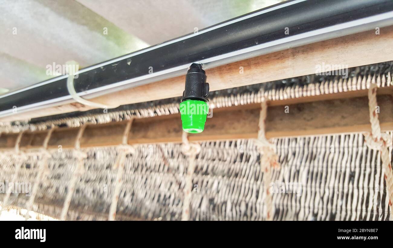 misting system wite mist nozzle in mushroom farm Stock Photo Alamy