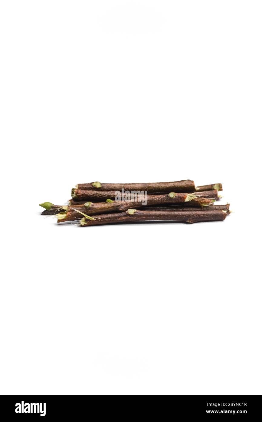 Neem sticks isolated on white background Stock Photo