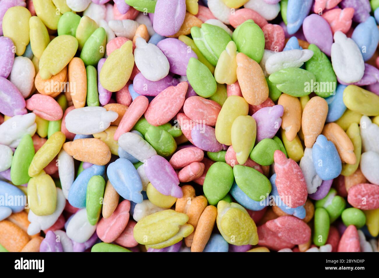 Close up of colorful sunflower seeds background Stock Photo
