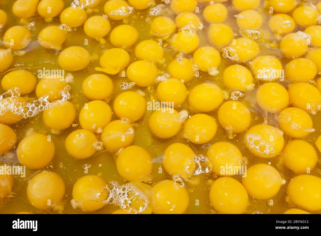 egg yolk Stock Photo