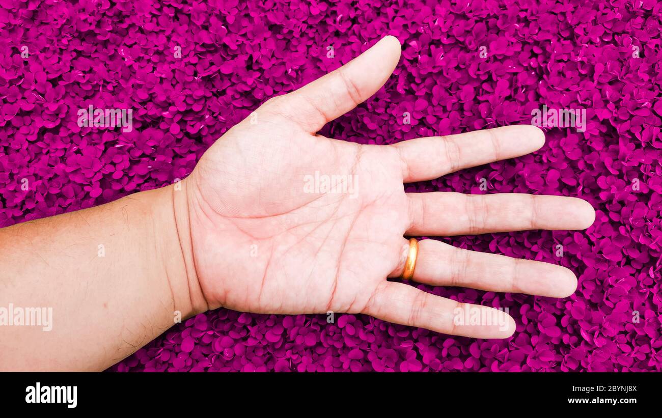 relax with hand on love pink color grass background, desmodium triflorum Stock Photo