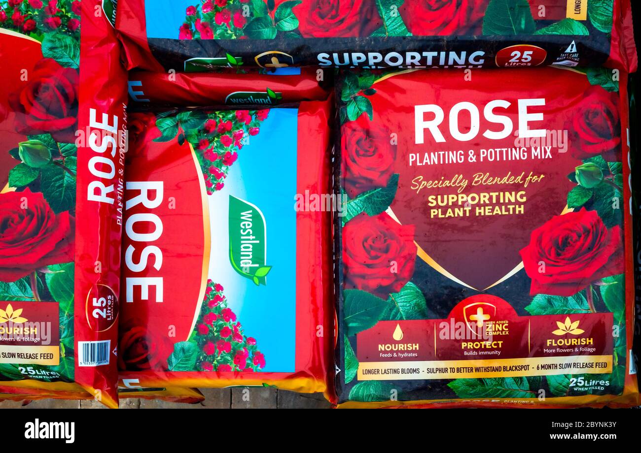 A stack of bags of Westland Rose Planting and potting mix in a garden