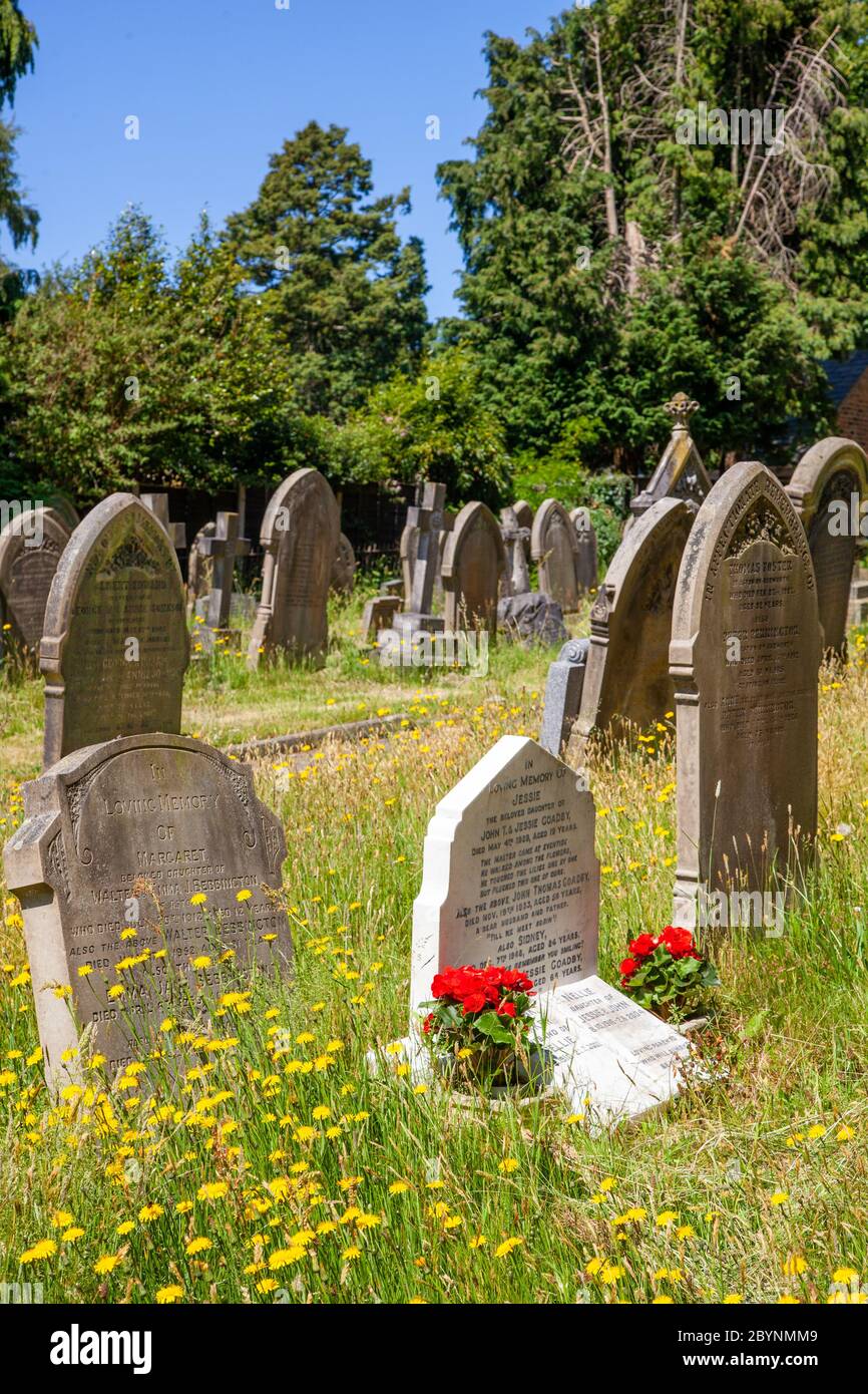 View of the churchyard and gravestones at the  country village church of St Mary and All Saints' Church, great Budworth Cheshire England UK Stock Photo