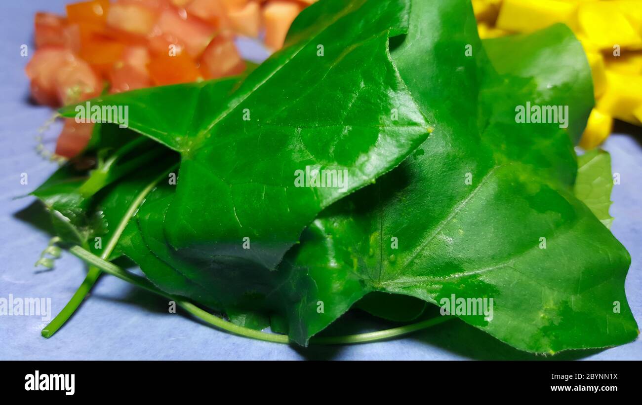 fresh ivy gourd in vegetable plate Stock Photo