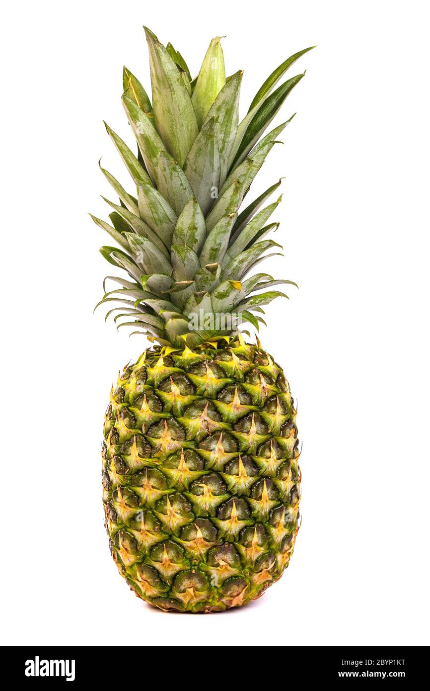 Single pineapple isolated on white Stock Photo - Alamy