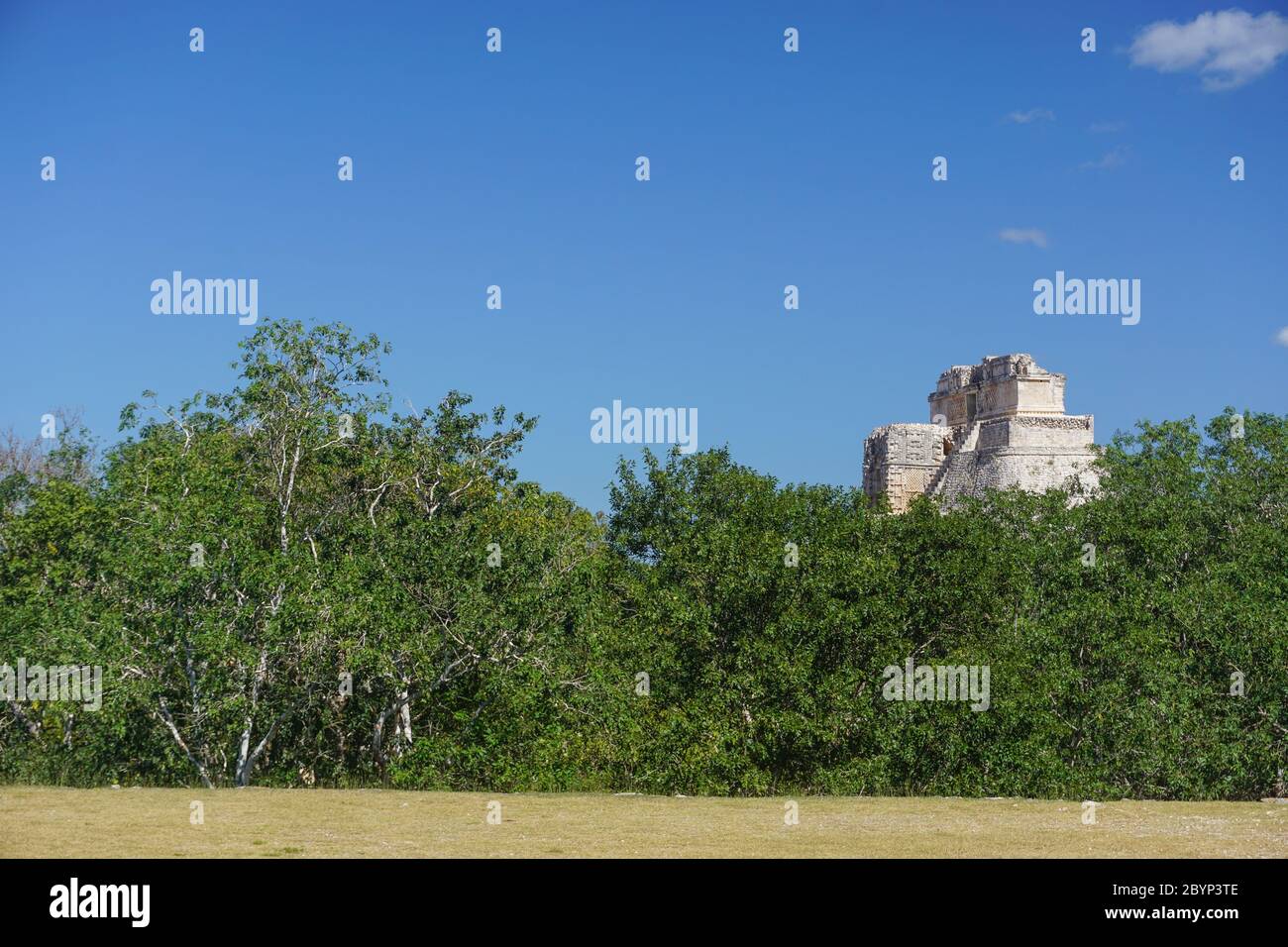 Uxmal, Mexico: The Mayan Pyramid of the Magician, also known as The Pyramid of the Dwarf, 600-900 A.D., rising above the trees. Stock Photo