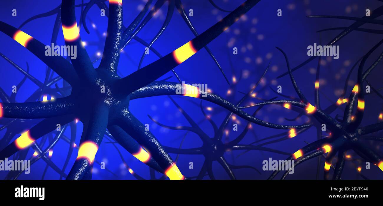 Parkinson nerve cells hi-res stock photography and images - Alamy