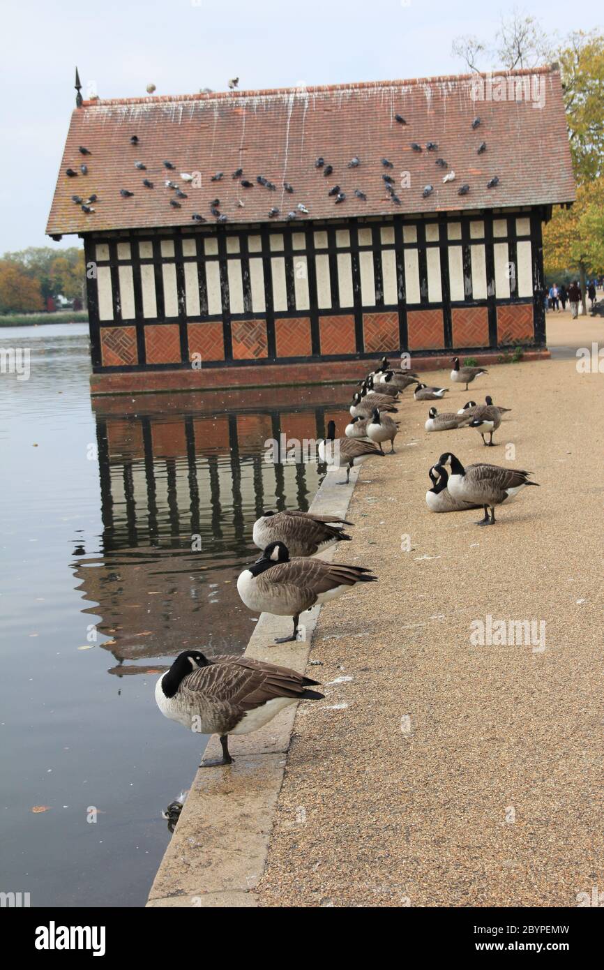 Hyde Park in London, England Stock Photo