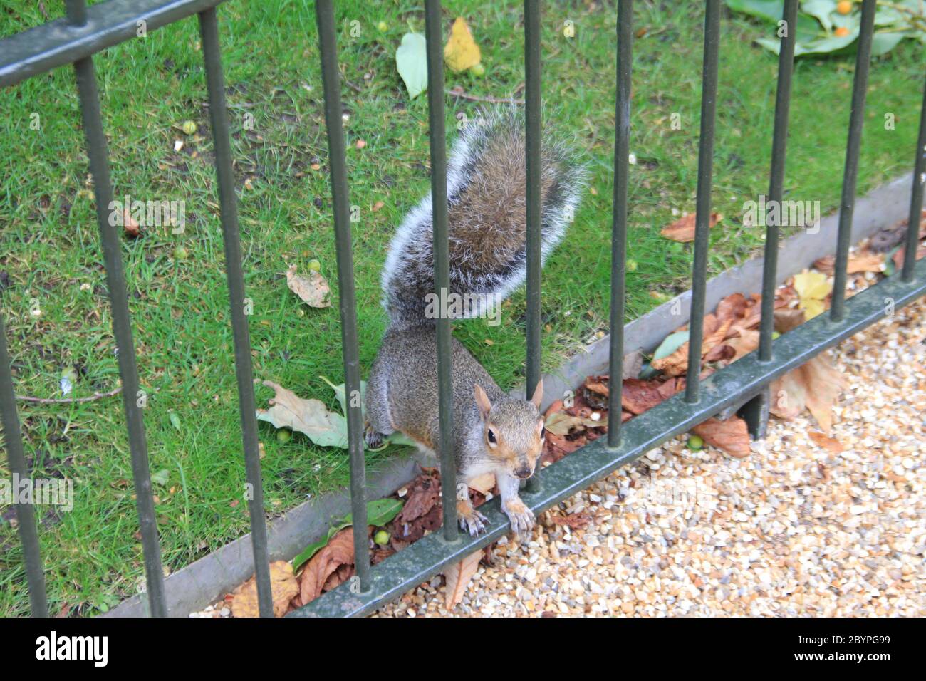 Hyde Park in London, England Stock Photo