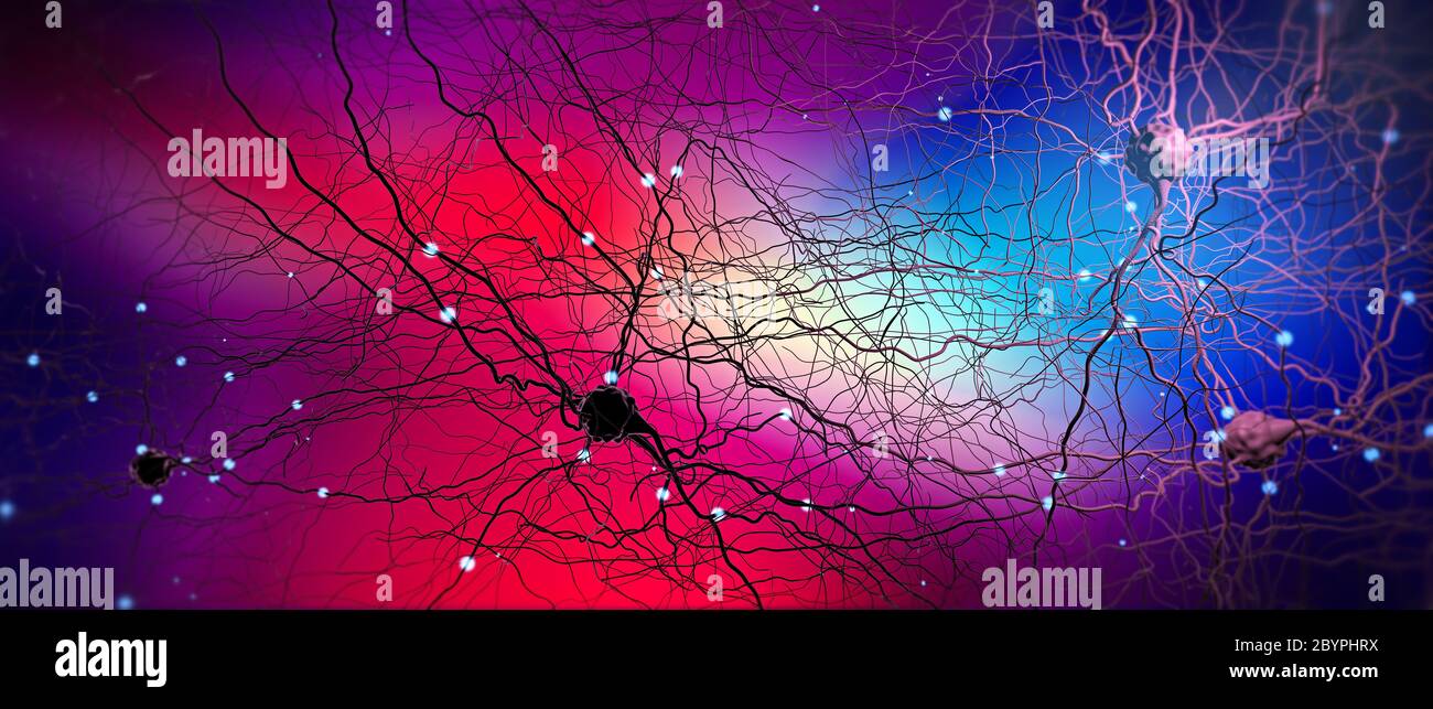 Signal transmitting neuron or nerve cell- 3d illustration Stock Photo