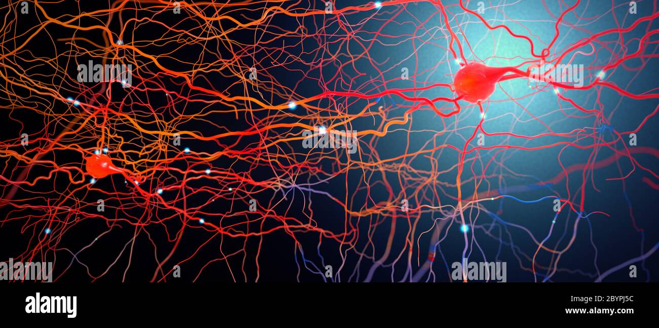 Signal transmitting neurons or nerve cells- 3d illustration Stock Photo