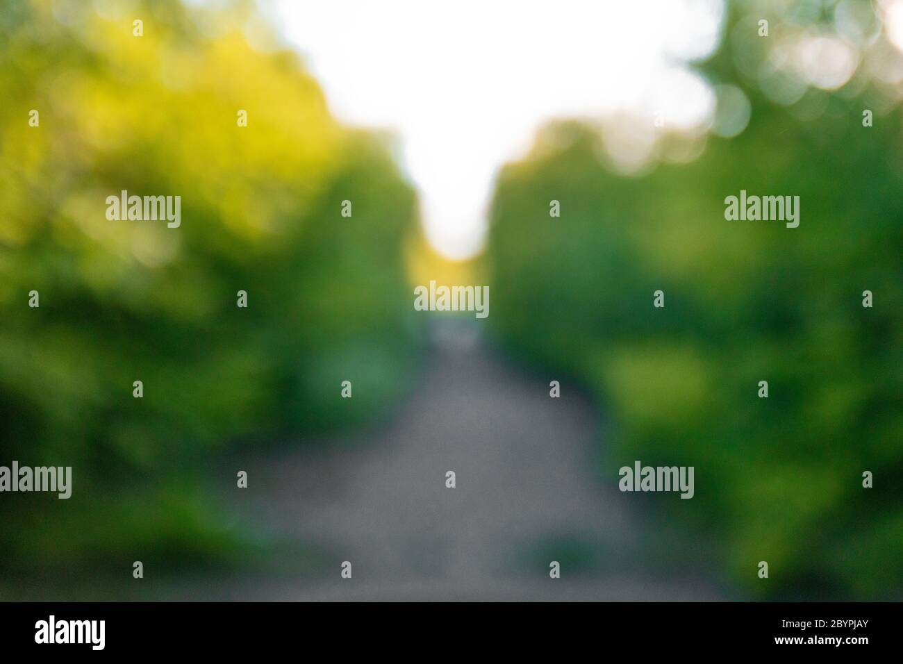 Blur nature bokeh green trees and road in the park by summertime Stock ...