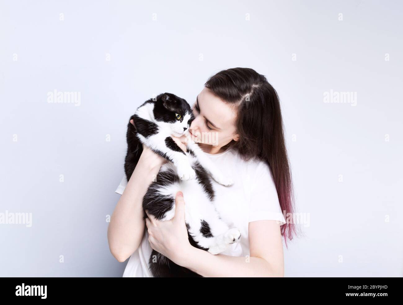 Young woman holds adult cat, grey background Stock Photo