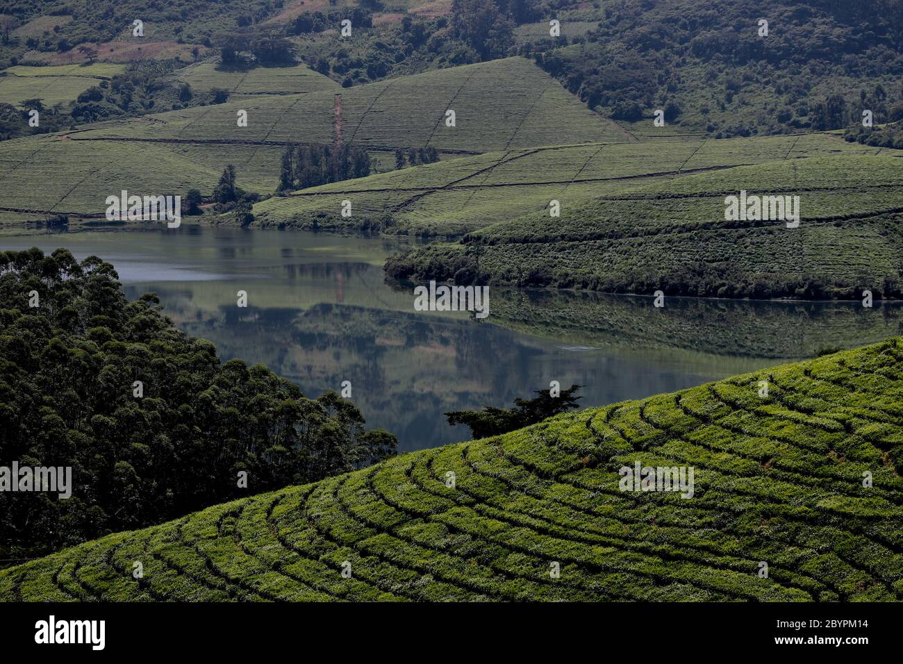 Eastern highlands zimbabwe hires stock photography and images Alamy