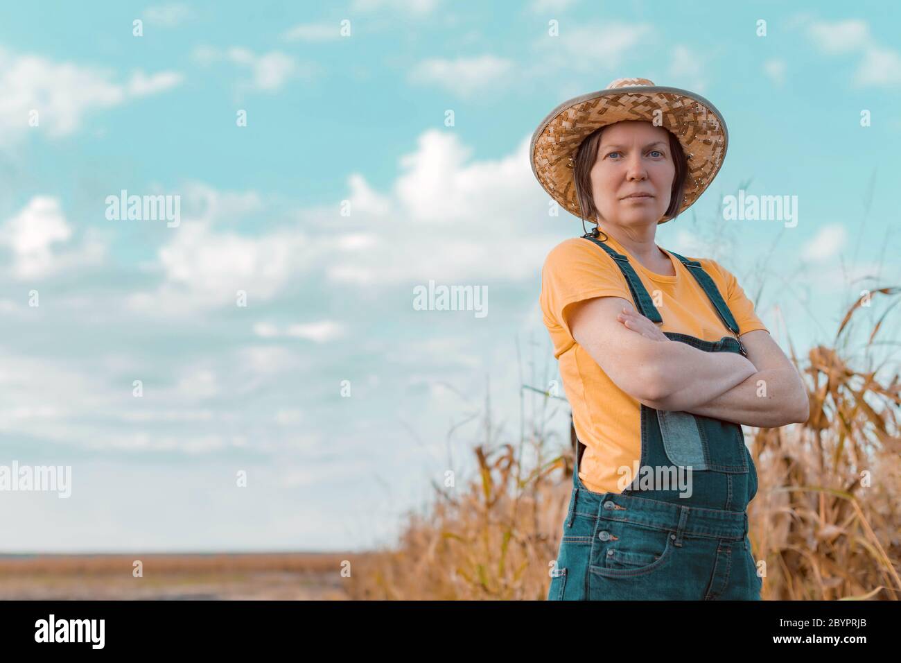 Female corn farmer looking over cornfield, portrait of woman agronomist ...