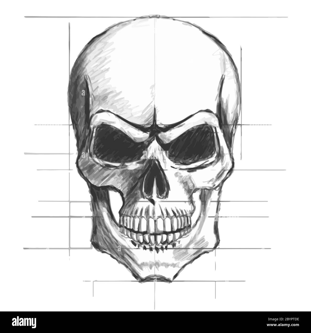 Skull pencil sketch vector Stock Vector Image & Art - Alamy