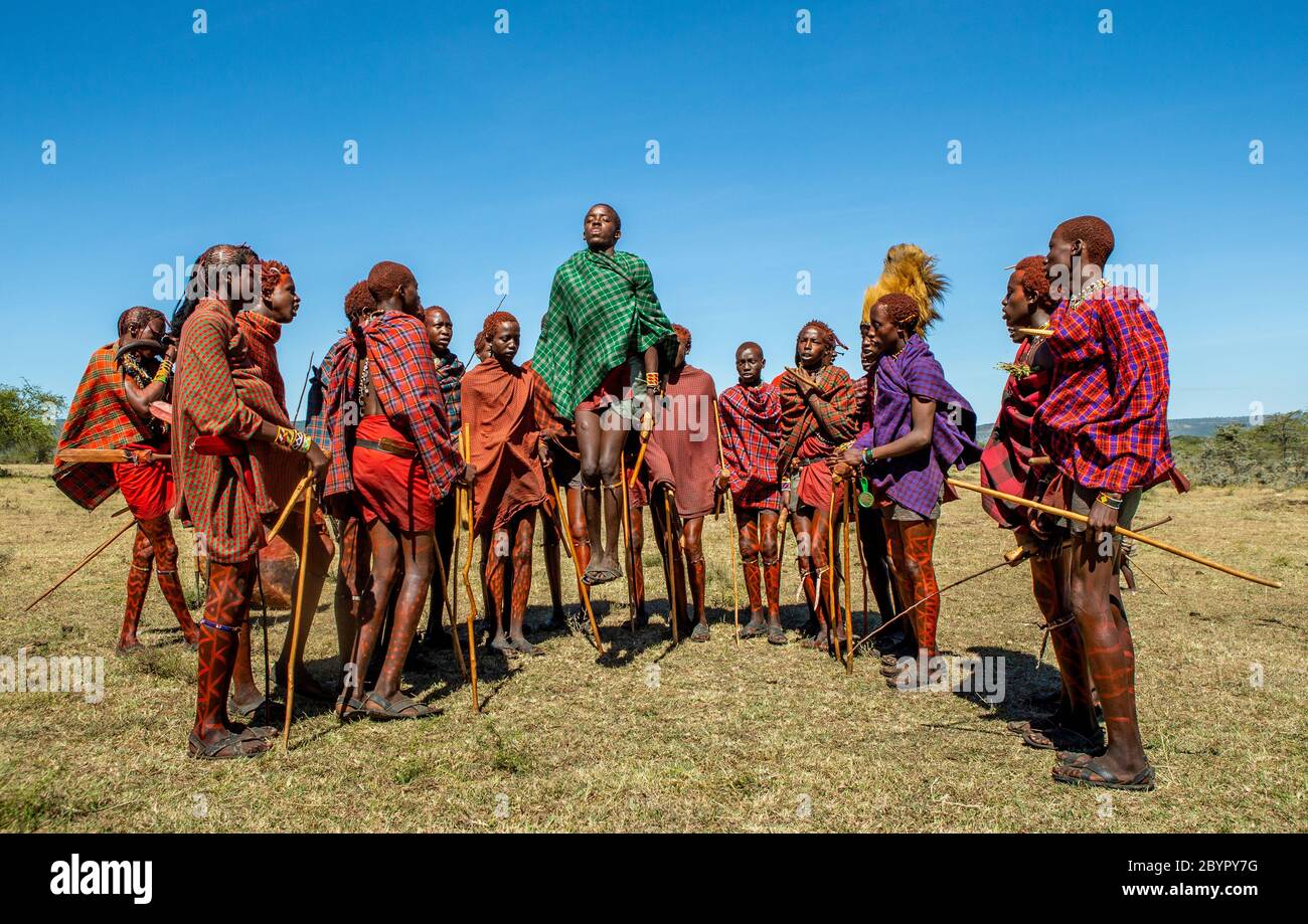 Group of young Masai warriors in traditional clothes and weapons are dancing their ritual dance in the savannah. Tanzania, East Africa. Stock Photo