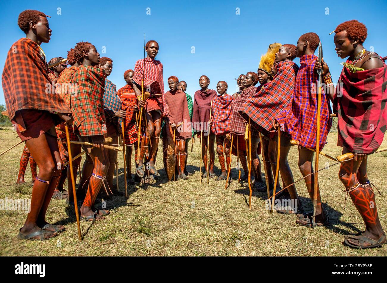 Group of young Masai warriors in traditional clothes and weapons are dancing their ritual dance in the savannah. Tanzania, East Africa. Stock Photo