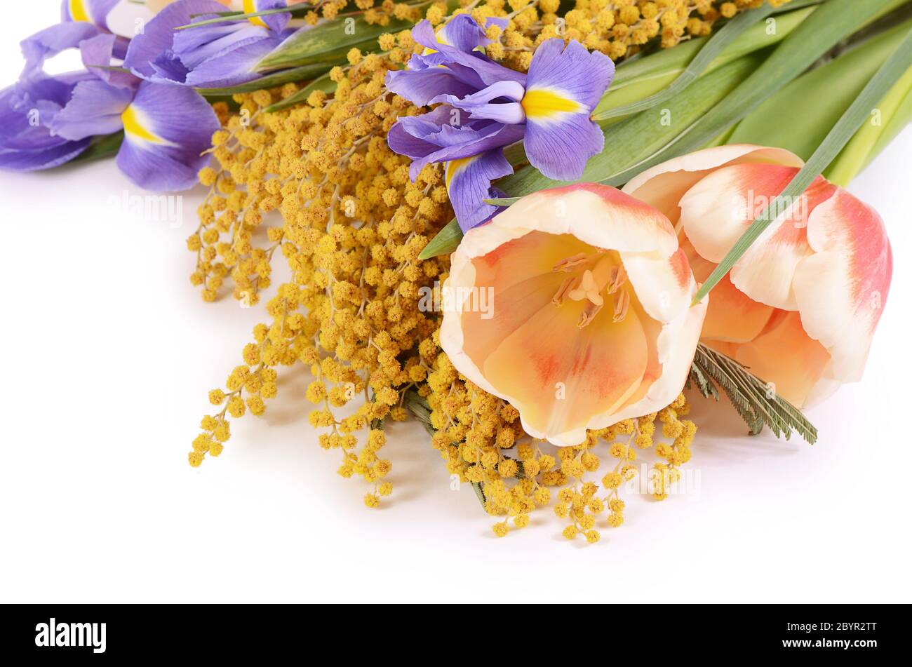Spring flowers isolated on white background Stock Photo - Alamy