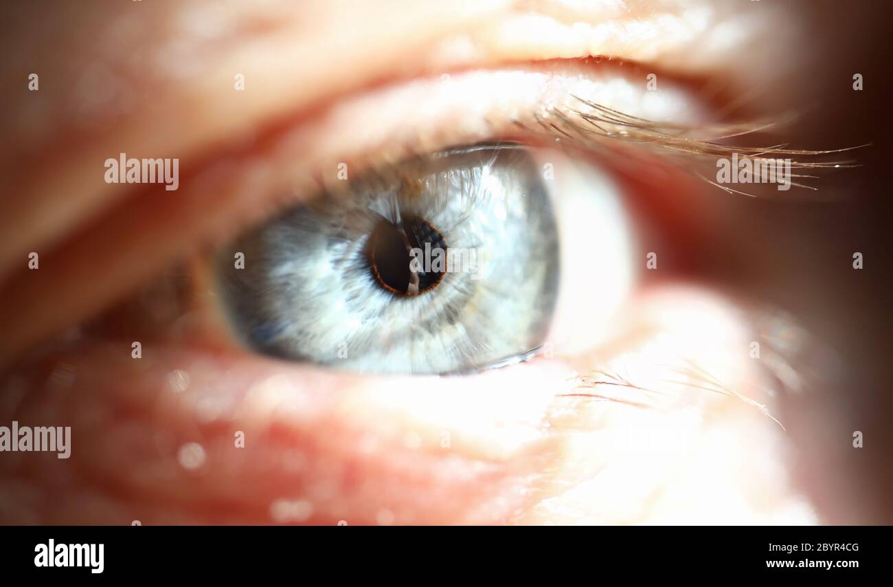 Male gray and blue colored eye extreme Stock Photo